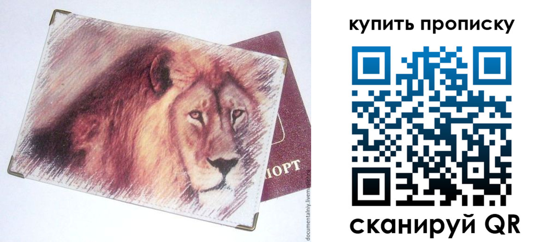 прописка паспорт в Пионерском